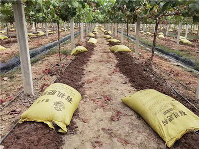 b3595853349a1427571b680dd683aa2a 生物腐植酸有机肥激活泥土活力的神奇物质