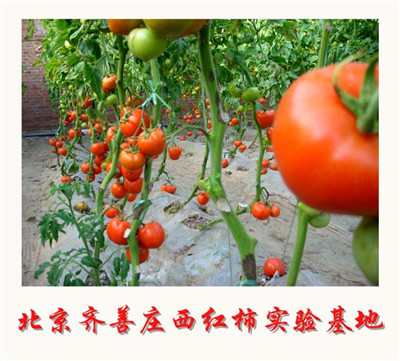 �л��������ָʲô����[רҵ����]